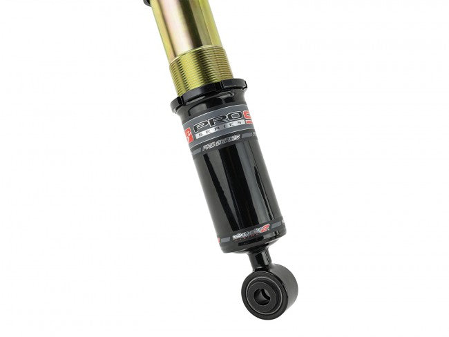 HONDA CIVIC SI 17-21 - SKUNK2 RACING SK PRO-ST COILOVER